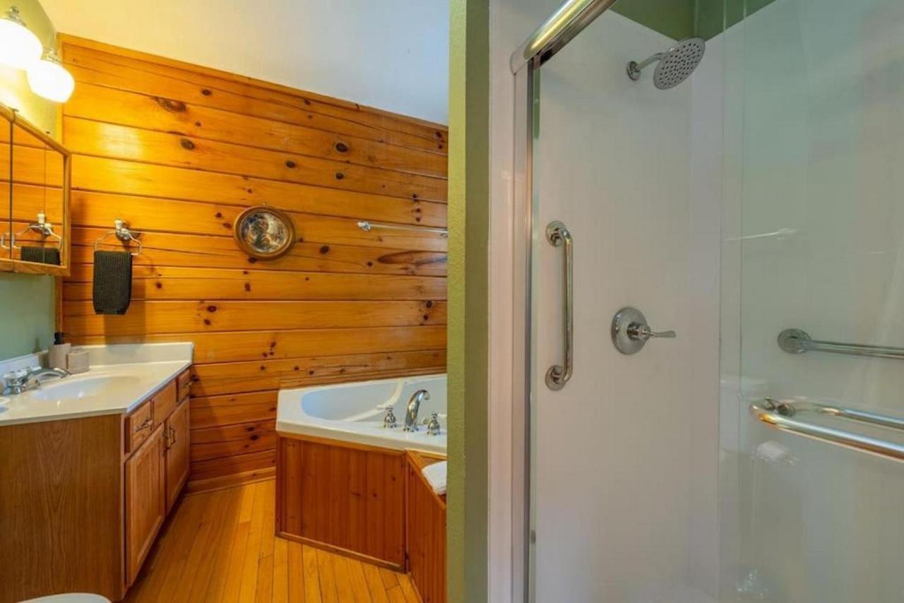Log Cabin Stunning Mountain Views On 12 Acres Candler 外观 照片