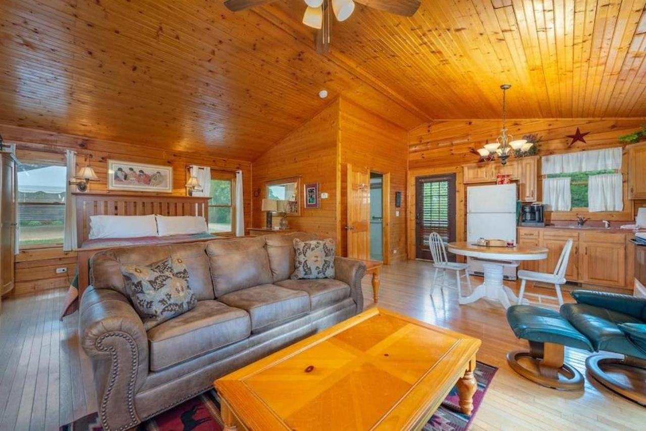 Log Cabin Stunning Mountain Views On 12 Acres Candler 外观 照片