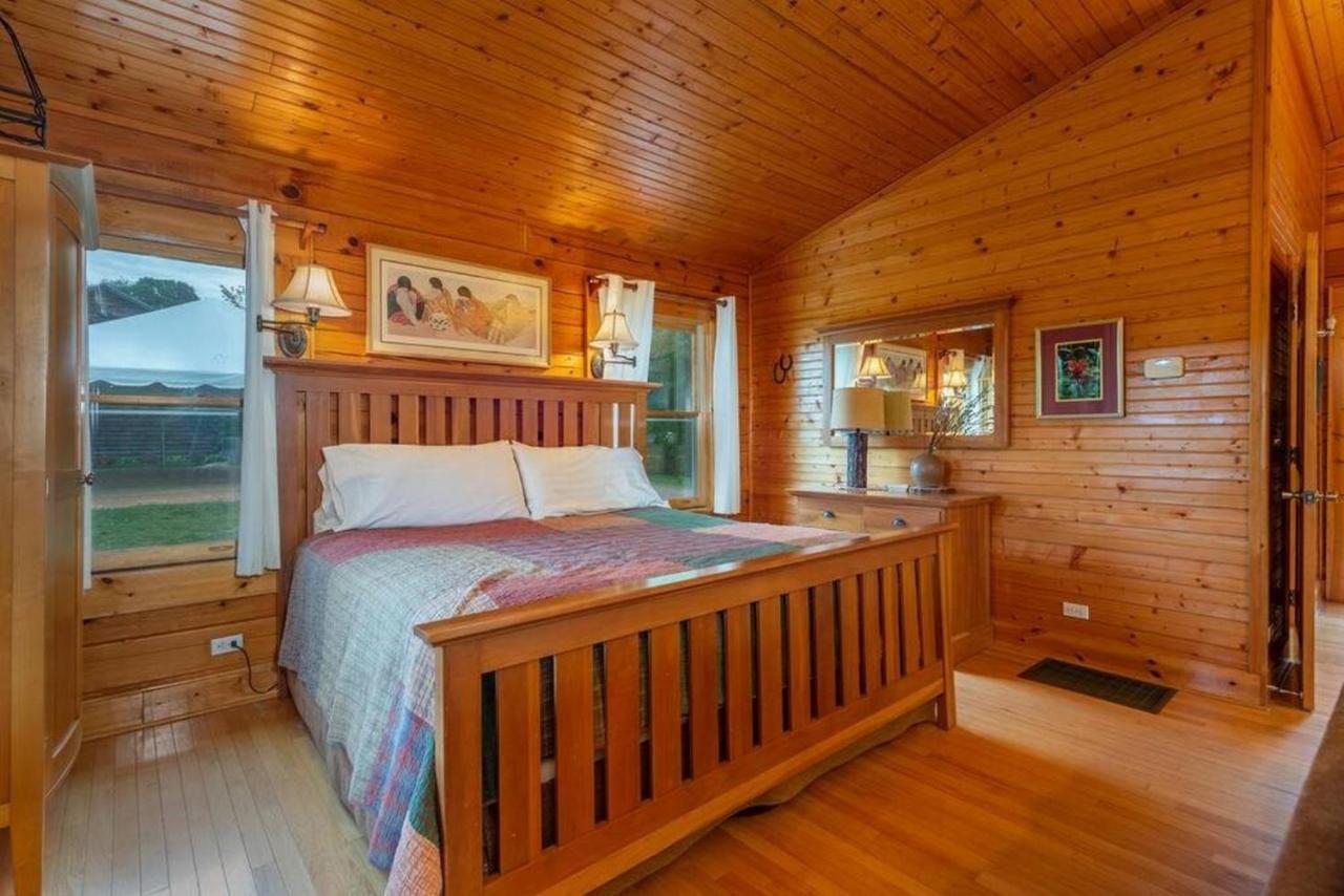 Log Cabin Stunning Mountain Views On 12 Acres Candler 外观 照片