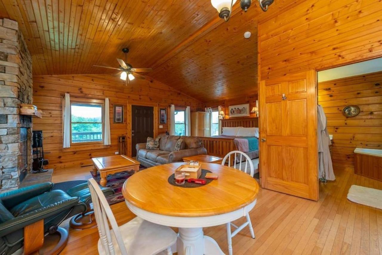 Log Cabin Stunning Mountain Views On 12 Acres Candler 外观 照片