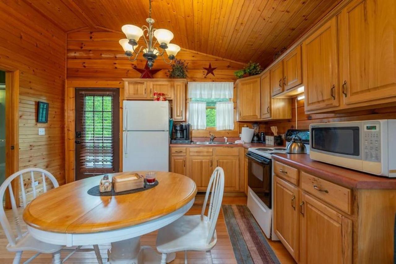 Log Cabin Stunning Mountain Views On 12 Acres Candler 外观 照片