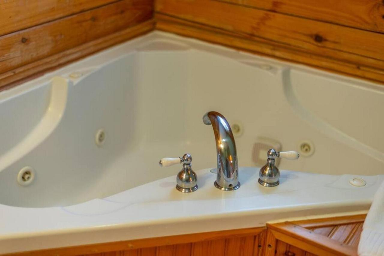 Log Cabin Stunning Mountain Views On 12 Acres Candler 外观 照片